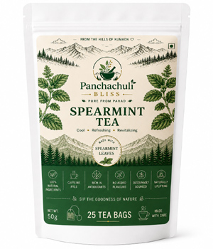 Spearmint Tea